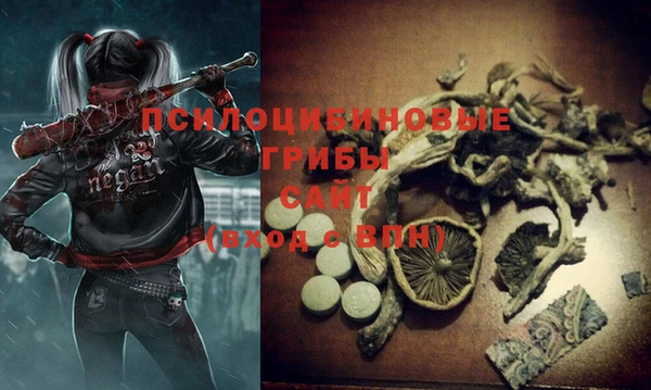 PSILOCYBIN Остров