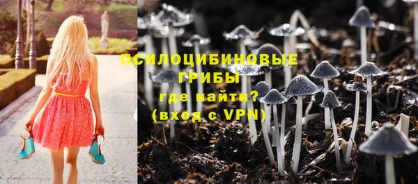 PSILOCYBIN Остров