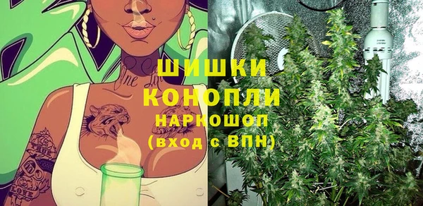 ALPHA PVP Осинники