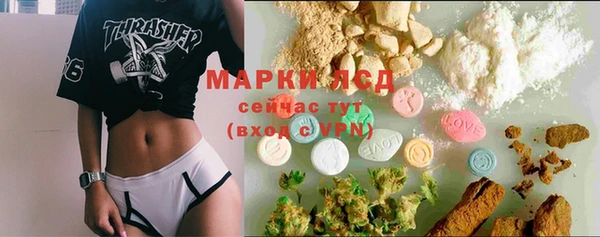 ALPHA PVP Осинники