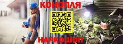тгк Аргун