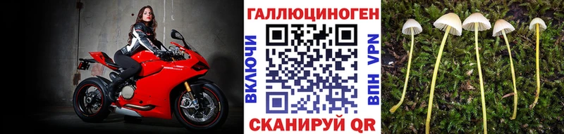 Галлюциногенные грибы Psilocybe  продажа наркотиков  Ангарск 